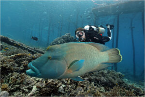 Oprema za podvodni ribolov