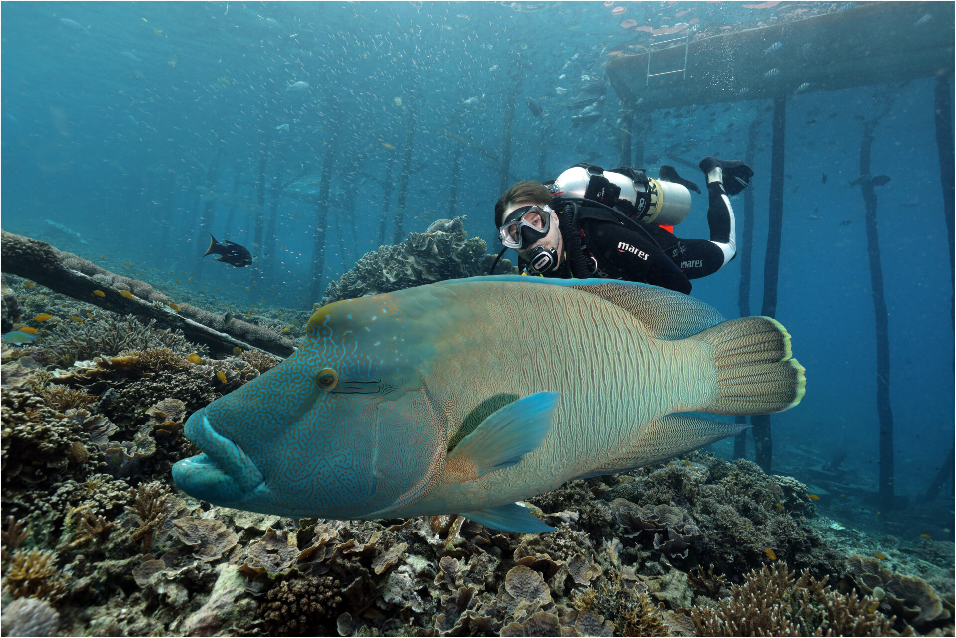 Mares Extended range