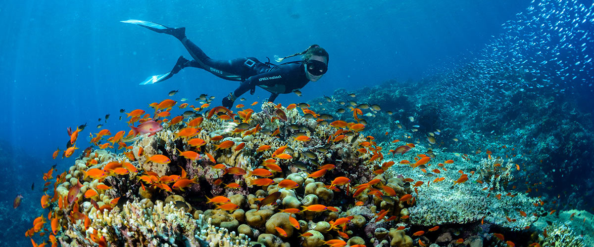 ODKRIJTE VRHUNSKO POTAPLJAŠKO OPREMO MARES